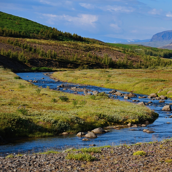 068-D91_0705_Okolí jezera Thingvallavatn.jpg